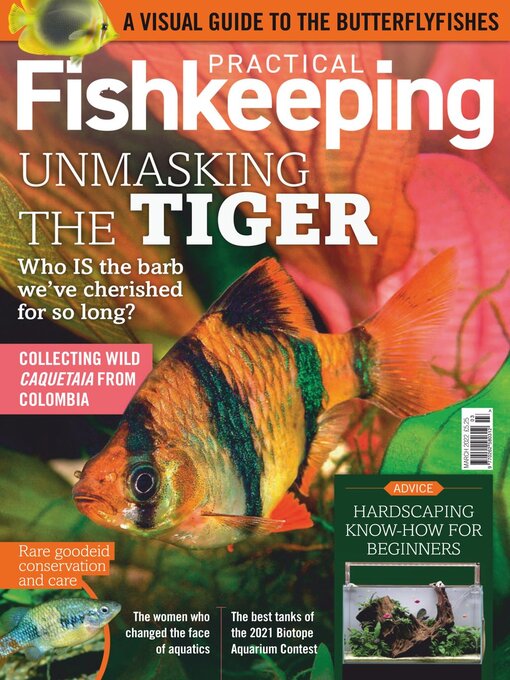 Title details for Practical Fishkeeping by Warners Group Publications Plc - Available